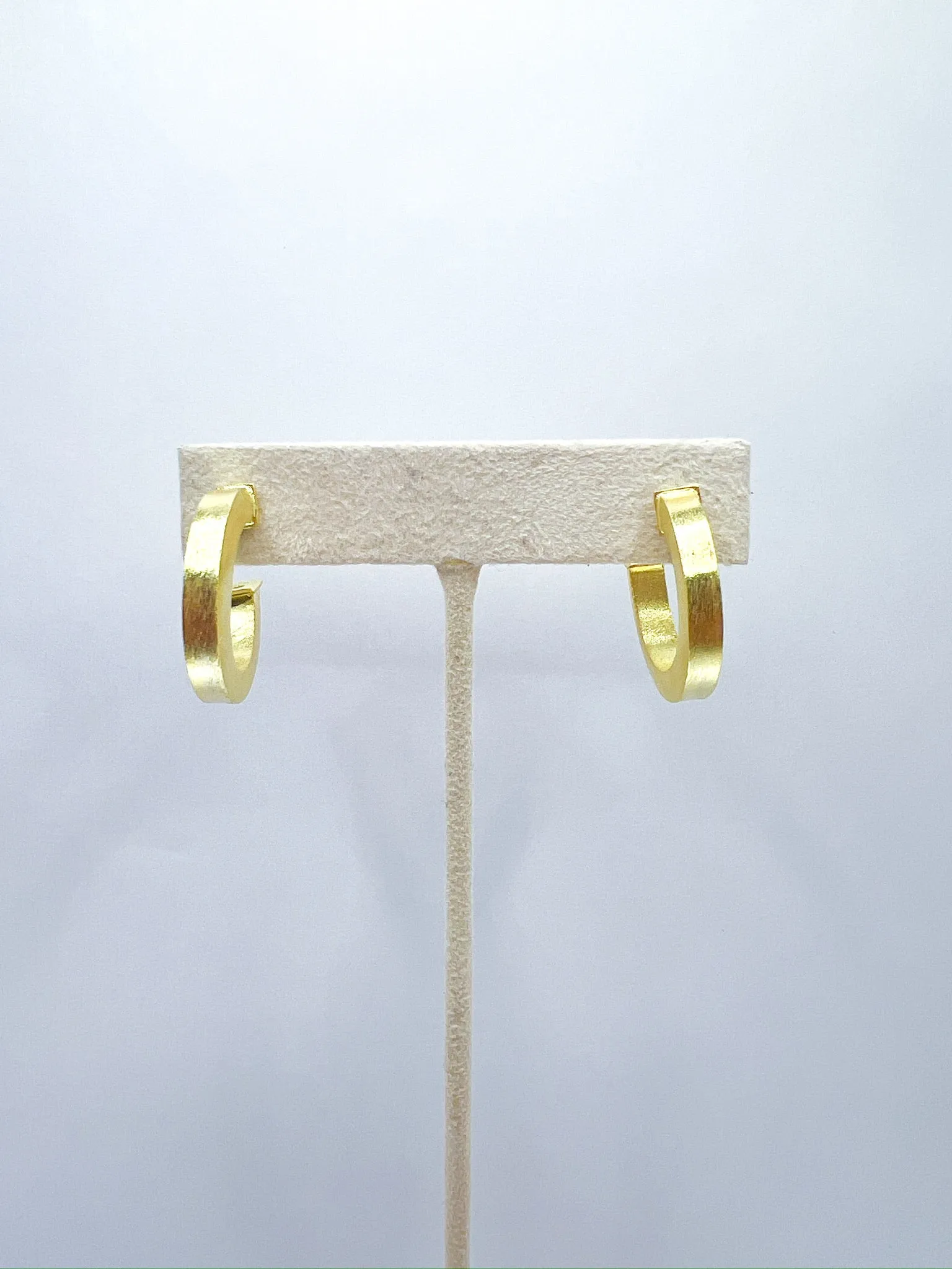 Bianca Hoops