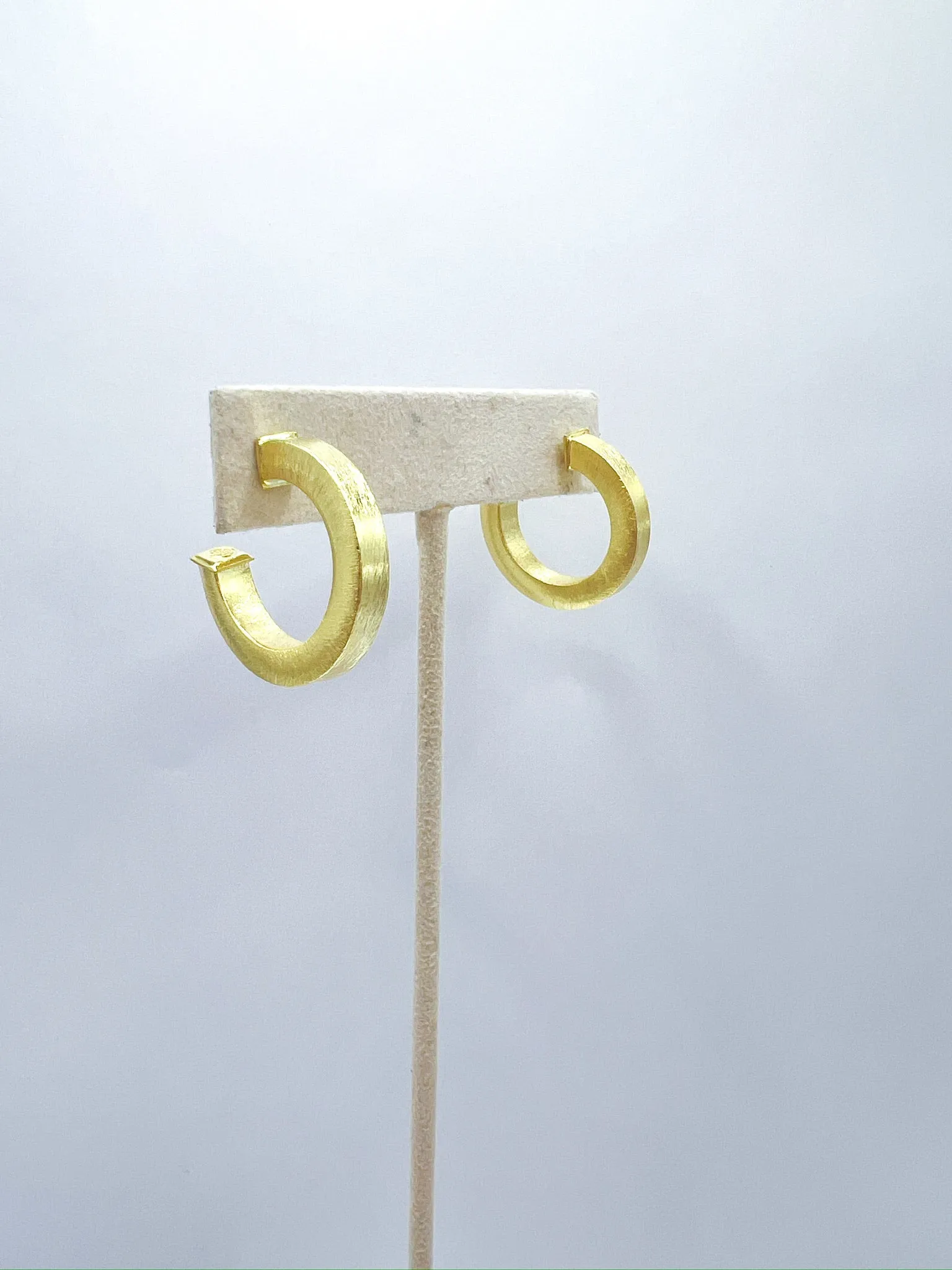 Bianca Hoops