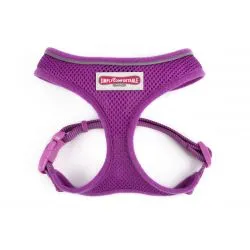 Comfort Mesh Harness
