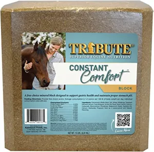 Constant Comfort Block