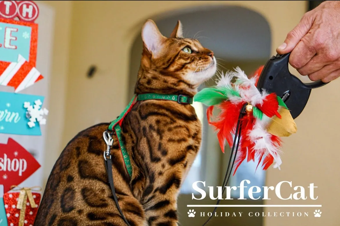 Holiday Harness Collection
