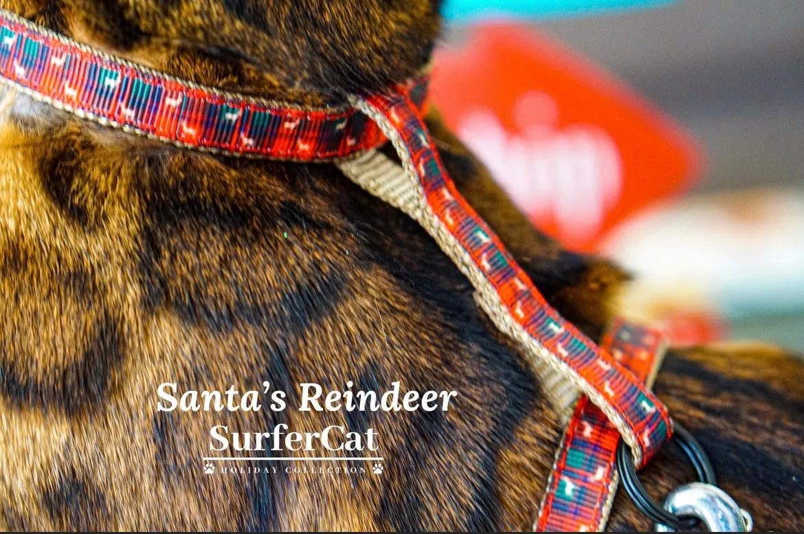Holiday Harness Collection