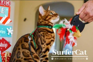 Holiday Harness Collection