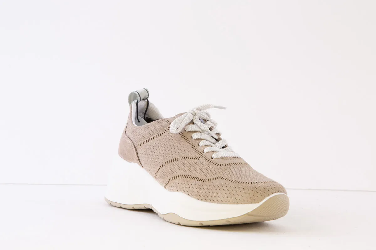 IGI & CO - 3663311 LACED WEDGE TRAINER SHOE - TAUPE
