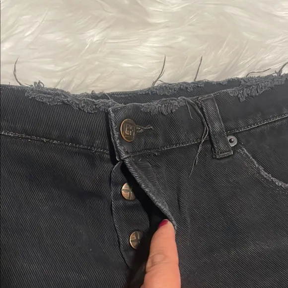 Ksubi Low Rise Denim Distressed Button Fly Shorts