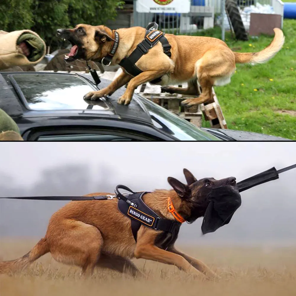 System COBRA Harness