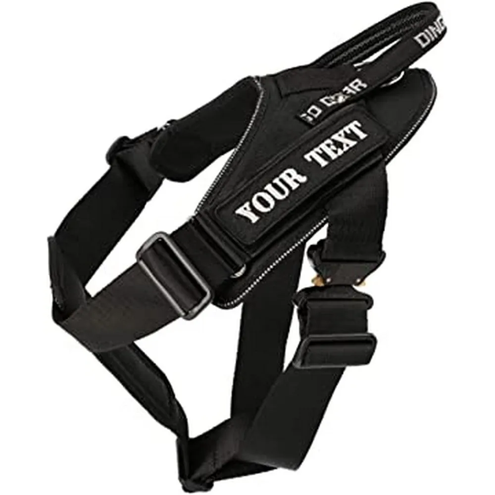 System COBRA Harness