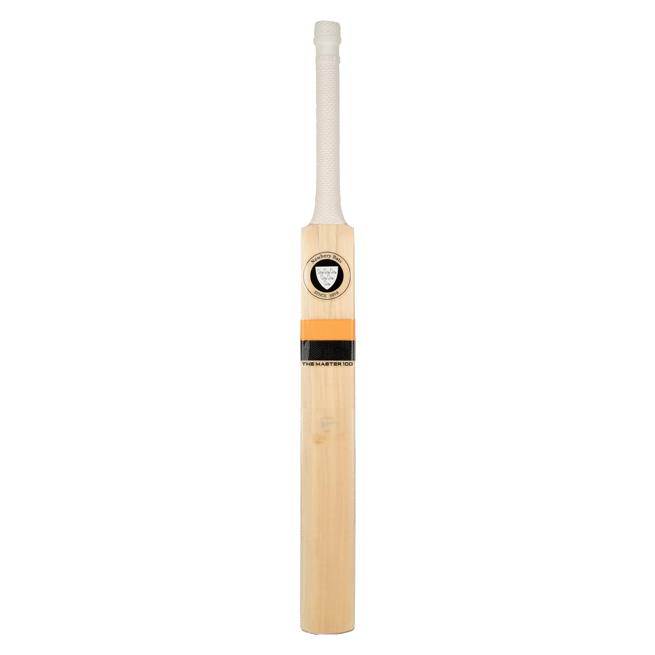 Training bat